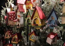 Jenaer Weihnachtsmarkt 2016 0033